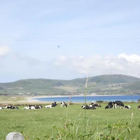 Garveys Oda ve Kahvaltı 5*